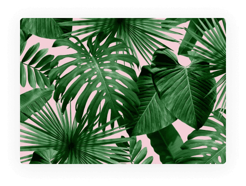 leafs_94a782ed84.png